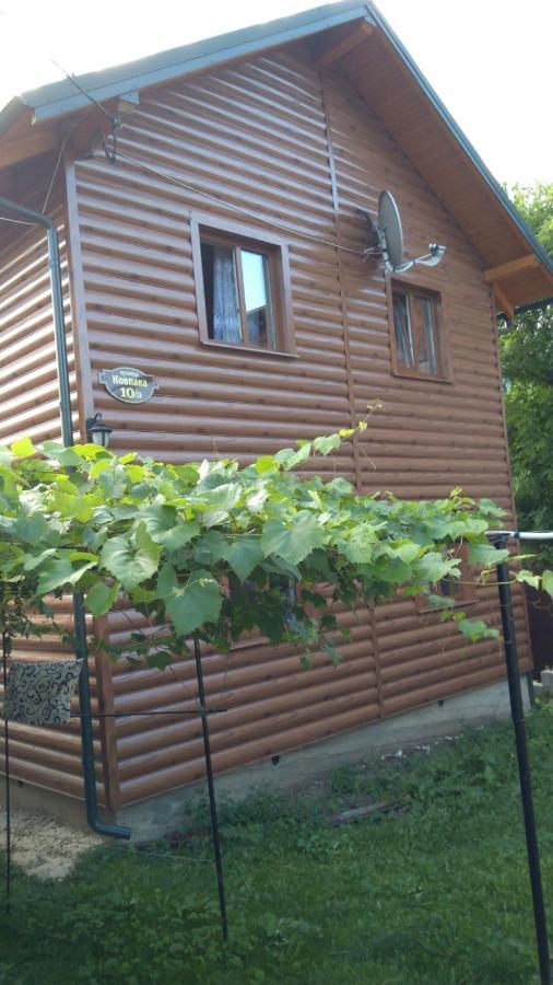 Базилік Hotel Yaremche Ngoại thất bức ảnh